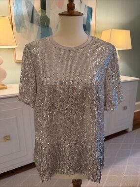 Saylor Silver Sequin Fringe Short Sleeve Top
